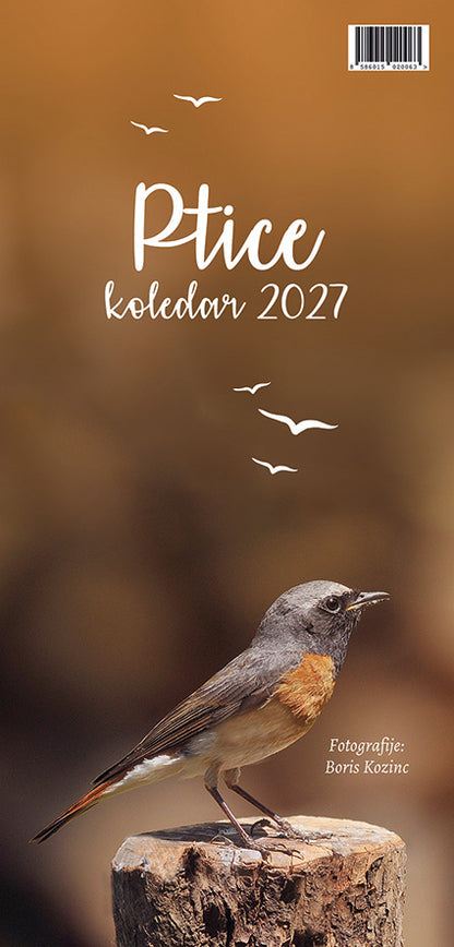 Koledar Ptice