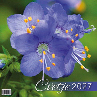 Koledar Cvetje