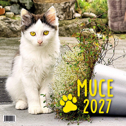 Koledar Muce