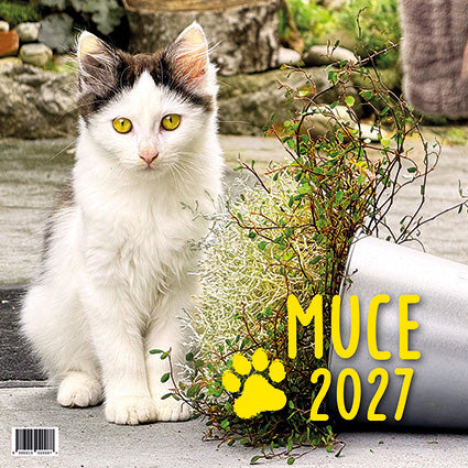 Koledar Muce