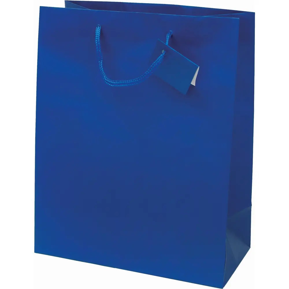 Darilna vrečka mat plastificirana A4