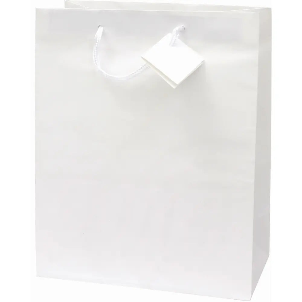 Darilna vrečka mat plastificirana A4